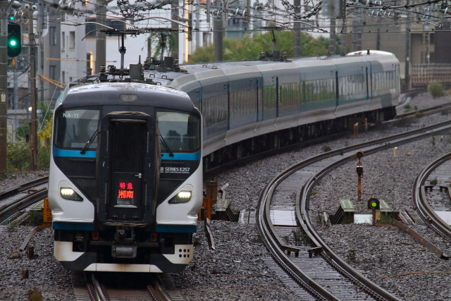 E257系特急湘南