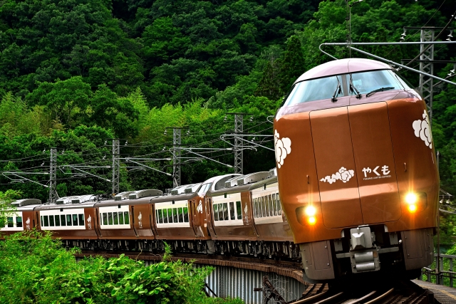 特急やくも273系